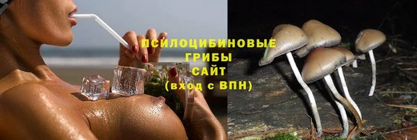 гидропоника Алексин